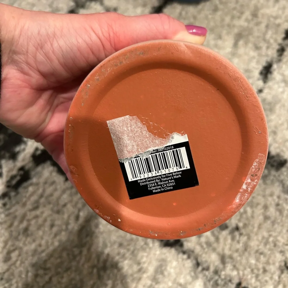 Ceramic vase with succulent plant spike
